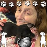Barbara Bliss - @barbarabliss1960 - Instagram