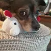 barbarablissett3 - @barbarablissett3 - TikTok