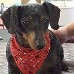 Barbara Blodgett Burson - @barbarablodgettburson - Instagram