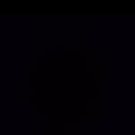 Barbara Bodner - @barbarabodner - Instagram