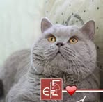 Barbara Bogar - Facebook