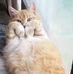 Barbara Dexter Bolduc - Facebook