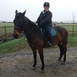 Barbara Bond - @bond4966 - Instagram