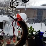 Barbara Bonham - @bonham9576 - Instagram