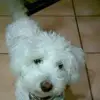 barbarabooherdonc - @barbarabooherdonc - TikTok