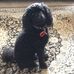 Barbara Boon - Facebook