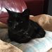 Barbara Boon - Facebook