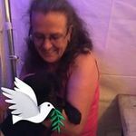 Barbara Borchers - @barbaraborchers - Instagram