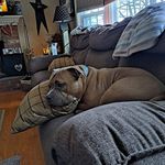 Barbara Borden - @barbara.borden.12 - Instagram