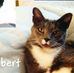 Barbara Borel - Facebook