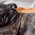 Barbara Borella - @barbara.borella.127 - Instagram