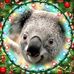 Barbara Borgmann - Facebook