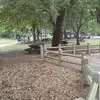 barbaraboring - @barbaraboring - TikTok