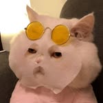 Alma - @barbara.boris60313 - Instagram