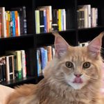 Barbara and Boris - @borisandbooks - Instagram