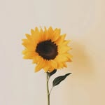 Barbara Boris - @beautywthsoul - Instagram