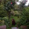 Barbara.bormann@web.de - @barbarabormann7 - TikTok