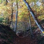 Barbara Borner - @barbara.borner.7 - Instagram