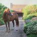 Barbara L. Bornstein - Facebook