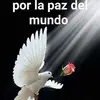 Barbara Borrego - @winona08 - TikTok