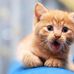 Barbara Britner - Facebook