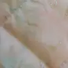 Barbara BF - @barbarabortolinif - TikTok