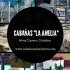 Bárbara Bortoluzzi - @_la_amelia - TikTok