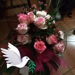 Barbara Boschi - @boschi6153 - Instagram