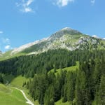 Barbara Boschi - @bbvignola - Instagram