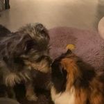 Barbara Bossert - @barbara.bossert.94 - Instagram