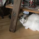 Barbara Boswell - @barbaraboswell2138 - Instagram
