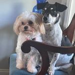 Barbara Boswell Fleming - @bamabarb45 - Instagram