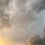 Barbara Bosworth - @barbarabosworthweather - Instagram