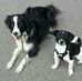 Barbara Bott - Facebook