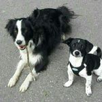 Barbara Bott - @barbara.bott.3532 - Instagram