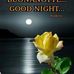 Barbara Botto - Facebook