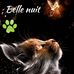 Barbara Anna Bouchard - Facebook