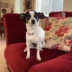 Barbara Boulter - Facebook