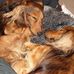 Barbara Bourgeois - Facebook