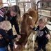 Barbara Boyer - Facebook