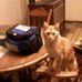 Barbara Boyer - Facebook