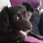 Barbara Bradford - @bb670th - Instagram