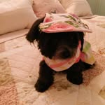 Barbara bradford - @barbarabradford1950 - Instagram