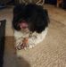 Barbara Bradford - Facebook