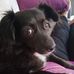 Barbara Bradford - Facebook