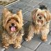 Barbara Brand - Facebook