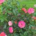 Barbara Brand - Facebook