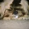 Barbara Brand - @barbara.brand - TikTok