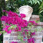 Barbara Branson West - @barbarawest2673 - Instagram