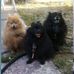 Barbara Brass - Facebook